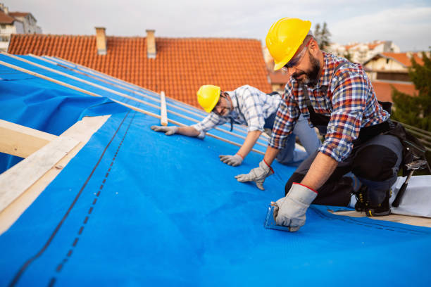 Sealant for Roof in Fridley, MN